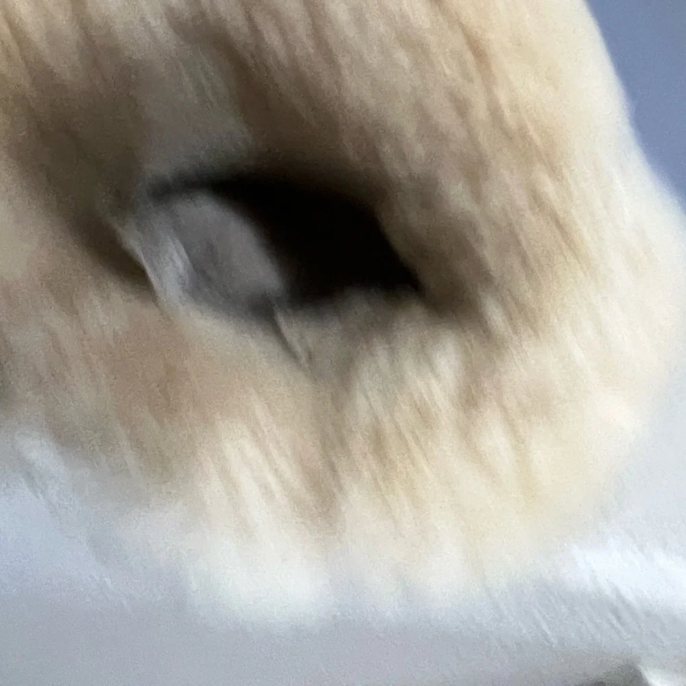 UGG questions leave